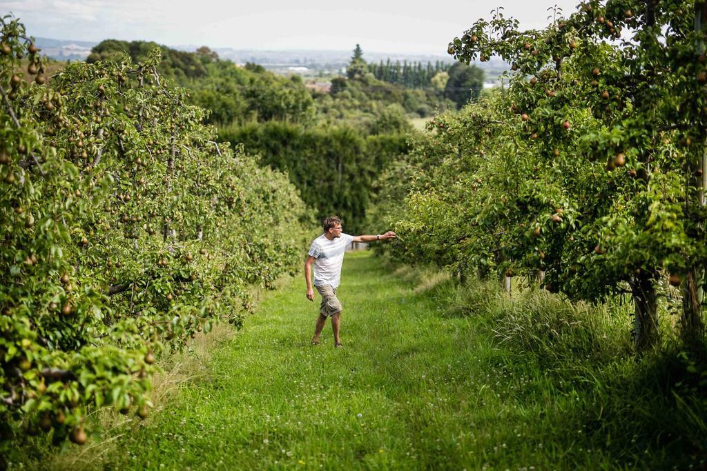 The Pear Orchard Lodge Ричмънт Екстериор снимка